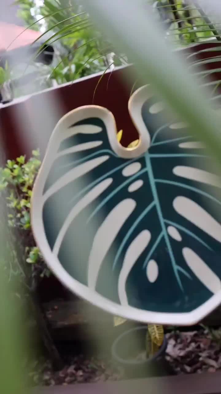 Video post from crane_living.