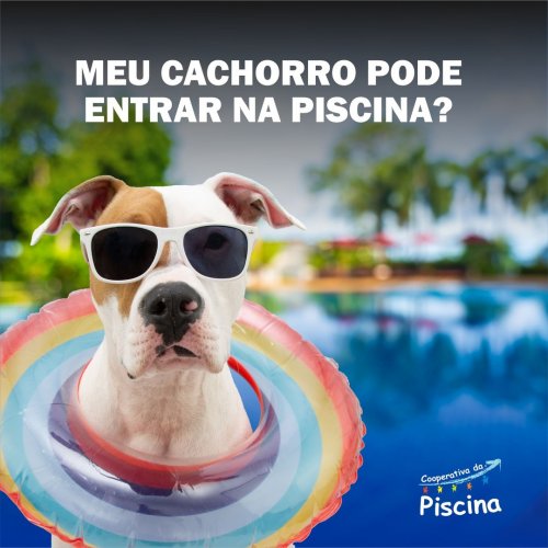 Photo post from cooperativadapiscina.