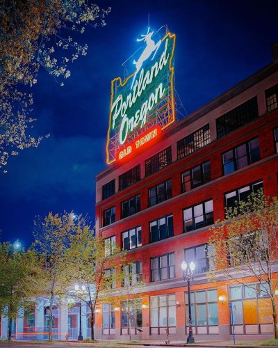 Photo post from mittytulips.