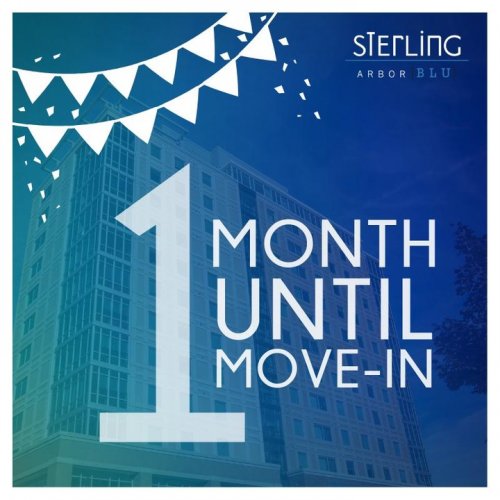 Photo post from sterlingarborblu.