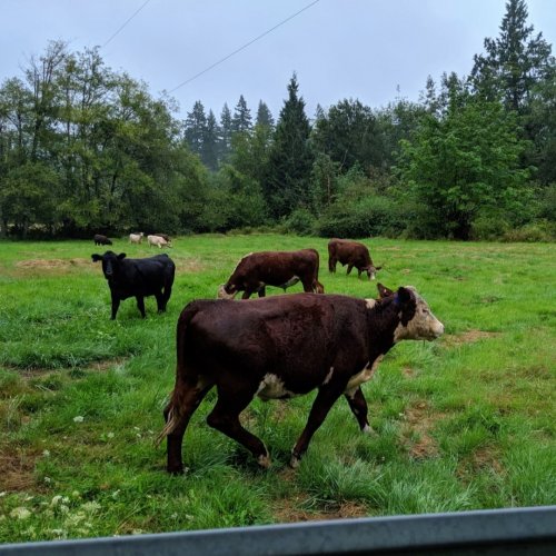 Photo post from hungryhollowfarm.