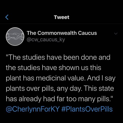 Photo post from kynorml.