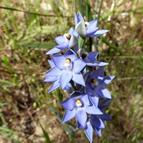 Photo post from visitalburywodonga.
