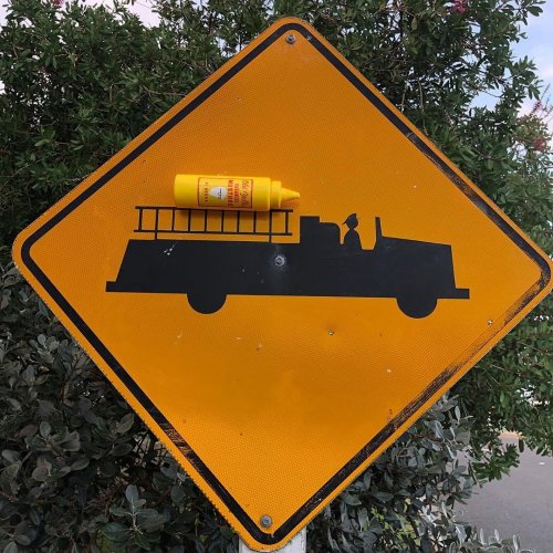 Photo post from oldyellamustard.