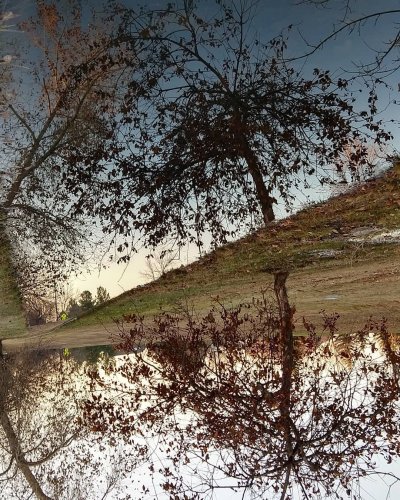 Photo post from water_salad.