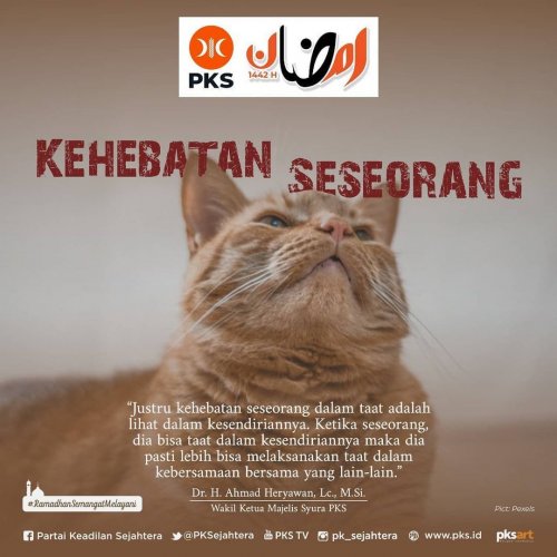 PostPhoto