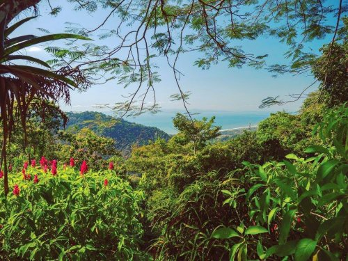 Photo post from taucktravel.