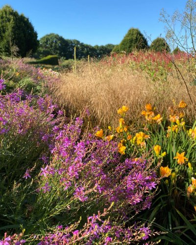 Photo post from sussexprairies.