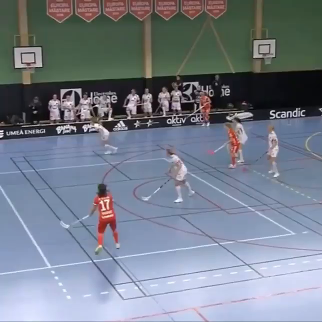 Video post from kauppitwins.