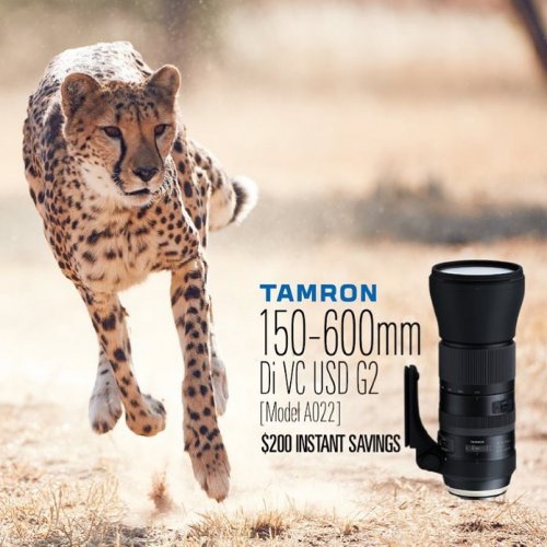 Photo post from cardinalcamera1937.