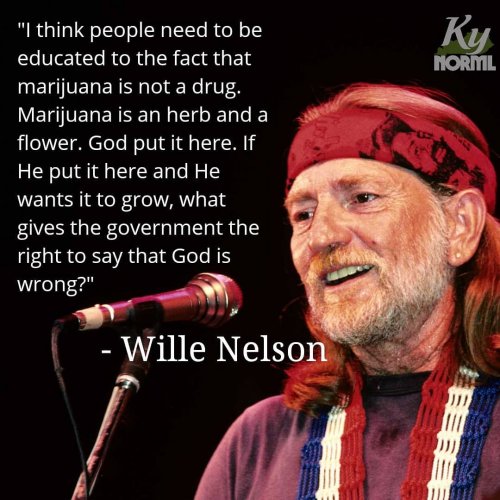 Photo post from kynorml.
