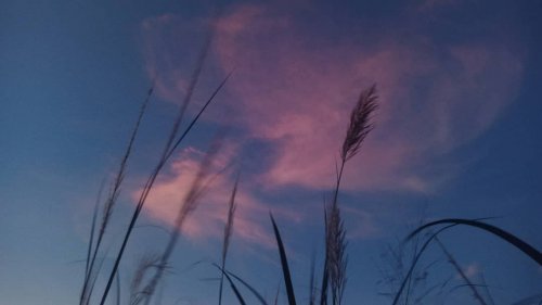 Photo post from jakbobby.