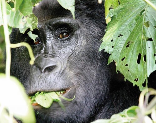 Photo post from taucktravel.