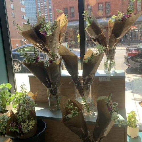 Photo post from dwightlofts.