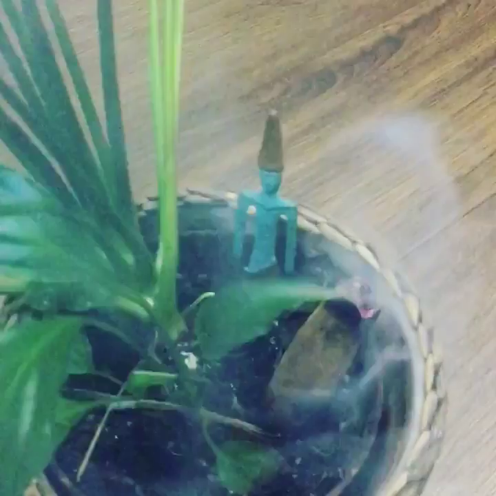 Video post from bodyharmonie_marrickville.