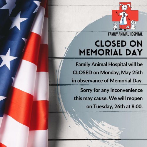 Photo post from familyanimalhospitalcm.