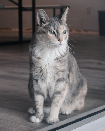 Photo post from medicalpettj.