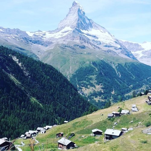 Carousel post from hungryhollowfarm.