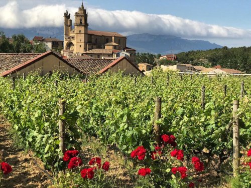 Photo post from taucktravel.