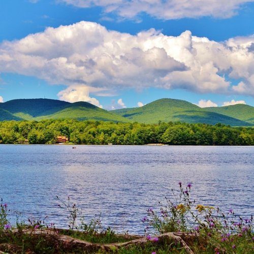Photo post from hotelonnorth.