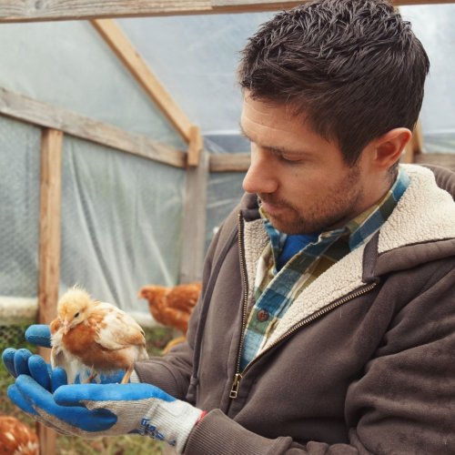 Photo post from hungryhollowfarm.