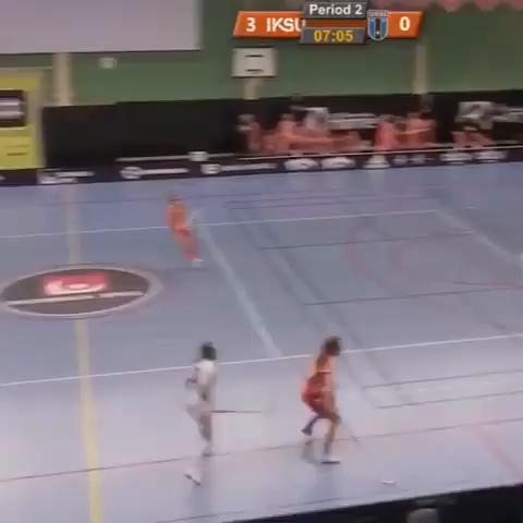 Video post from kauppitwins.