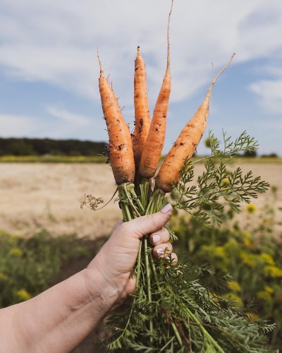 Carousel post from farmbox_arizona.