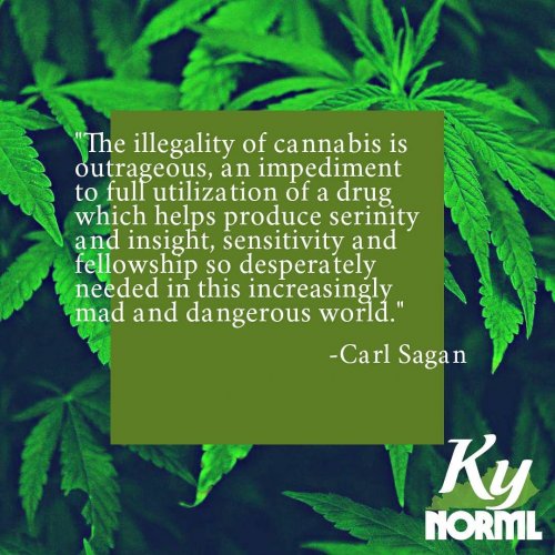 Photo post from kynorml.