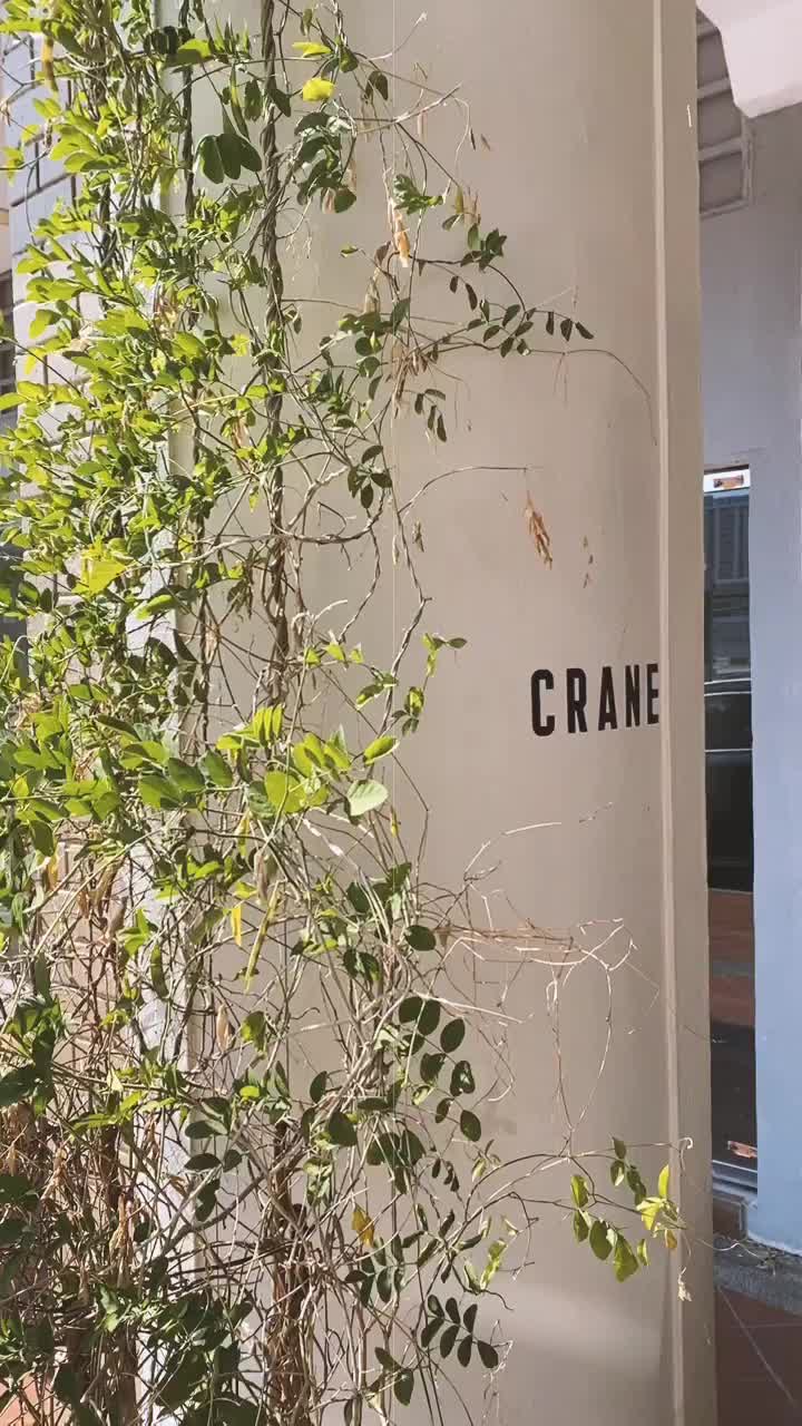 Video post from crane_living.