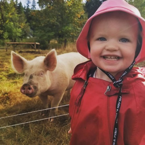 Carousel post from hungryhollowfarm.