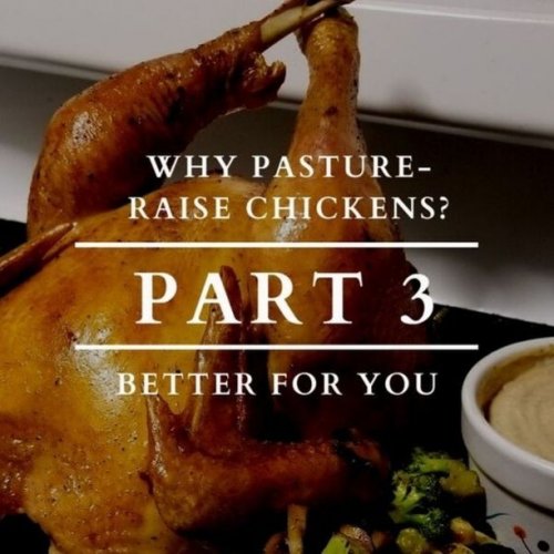 Photo post from hungryhollowfarm.