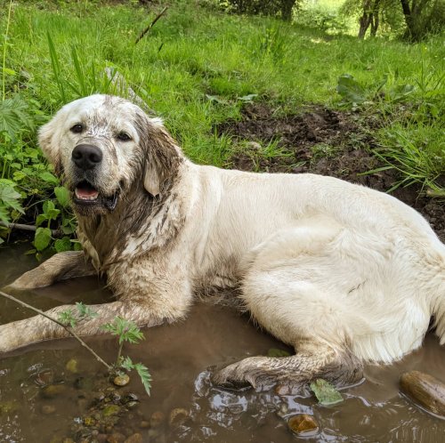 Photo post from hungryhollowfarm.
