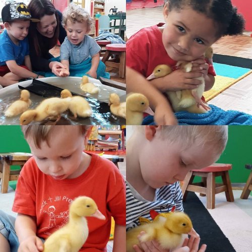 Photo post from jack.jill.preschool.