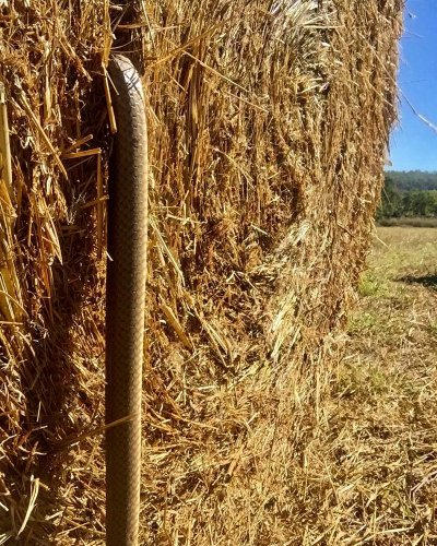 Photo post from howefarming.