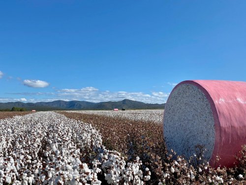 Photo post from howefarming.