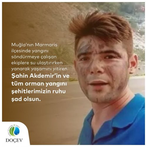 Photo post from dogavecevrevakfi.