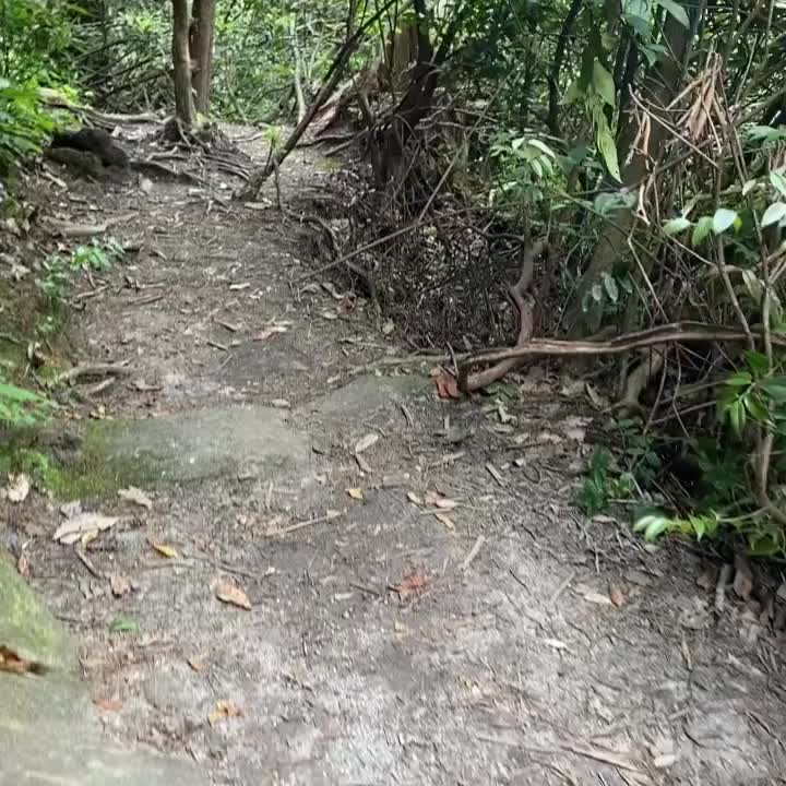 Video post from bhhsmmr.