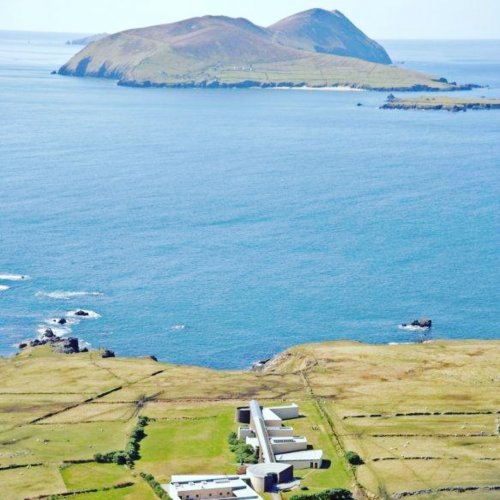 Photo post from dinglepeninsulatourism.