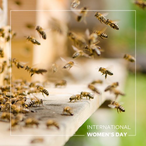 Photo post from comvita_nz.