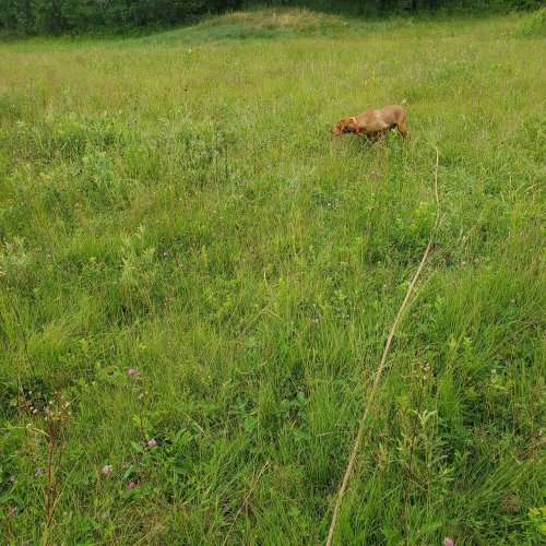 Photo post from reddogguideservice.