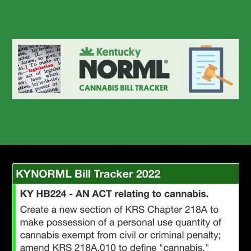 Photo post from kentuckynorml.