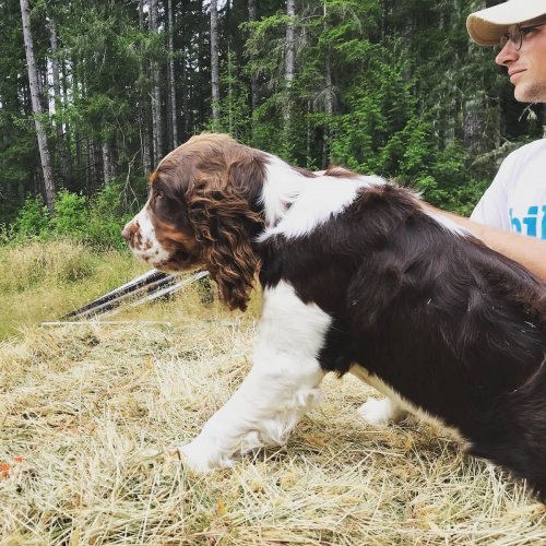 Carousel post from hungryhollowfarm.