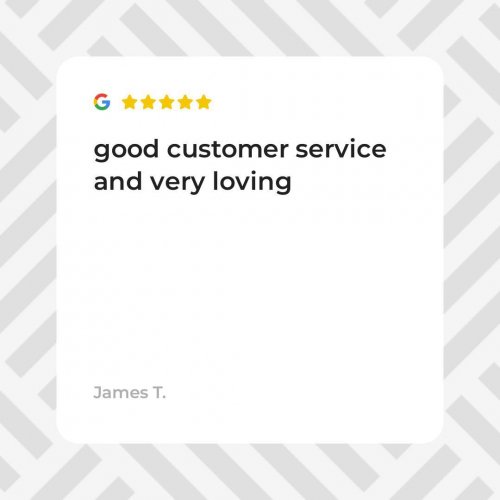 Photo post from cardinalcamera1937.