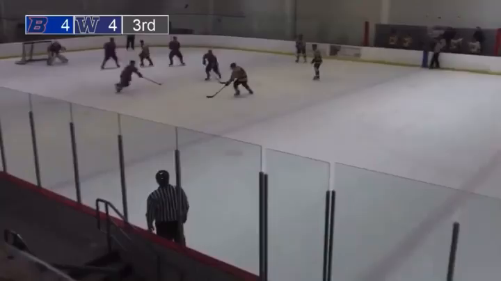 Video post from uw_icehockey.