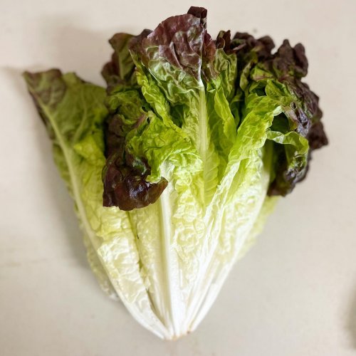 Carousel post from farmbox_arizona.