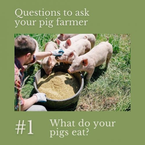 Carousel post from hungryhollowfarm.