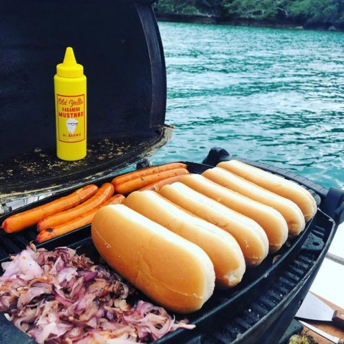 Photo post from oldyellamustard.