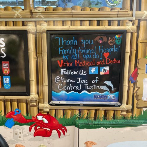 Photo post from familyanimalhospitalcm.