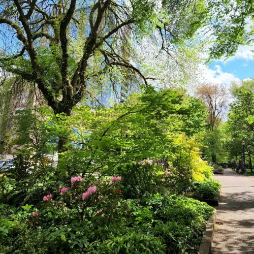 Carousel post from debinhp.