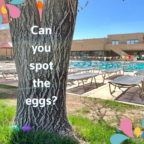 Photo post from nmswriverpoint.